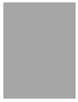 Label - Shadow (#A6A6A6)