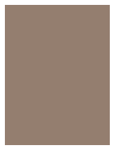 Label - Mocha (#947E6F)