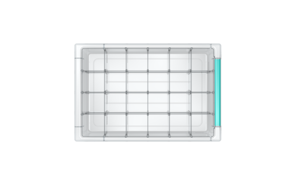 Drawer Divider Layout 03